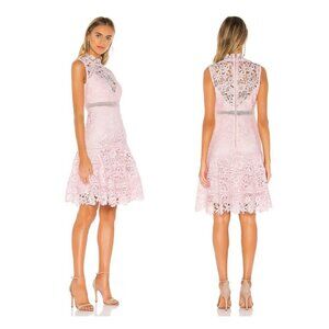 Bardot Elise Lace Dress, Washed Pink 6 - EUC, Sleeveless, Feminine, Valentine's